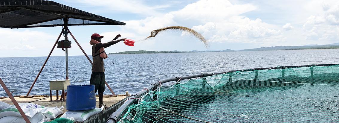 Yalelo Aquaculture