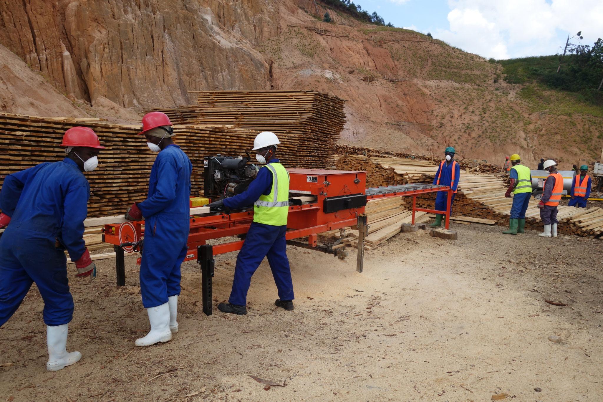 Men using saw in New Forests Company inRwanda.