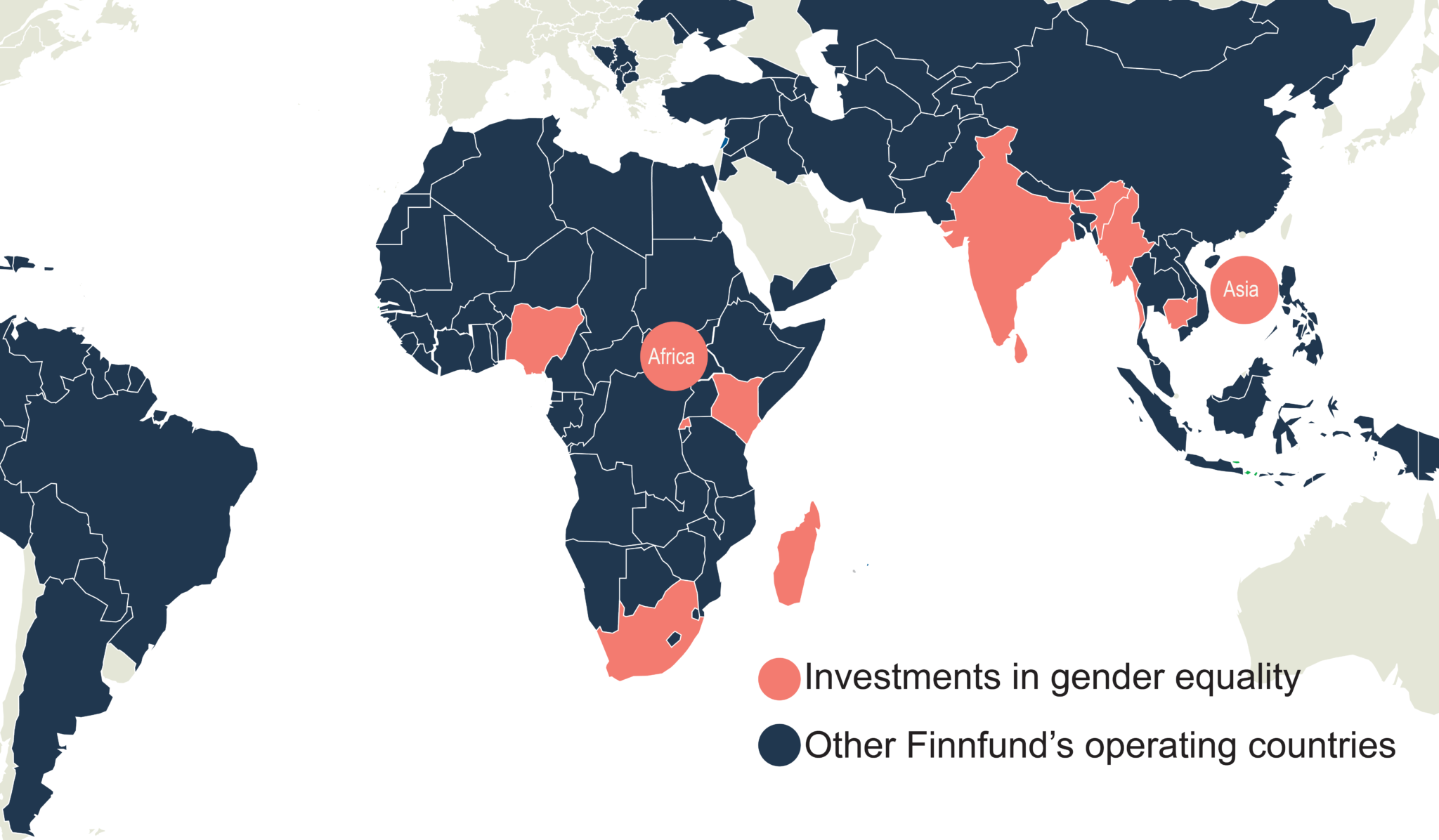 Gender investments on a world map